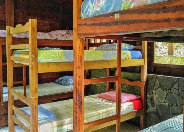 Trindade Sea And Forest Yoga Hostel エクステリア 写真
