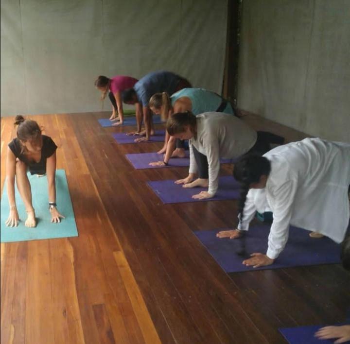 Trindade Sea And Forest Yoga Hostel エクステリア 写真