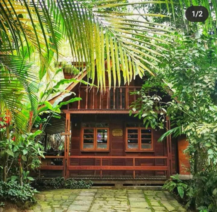 Trindade Sea And Forest Yoga Hostel エクステリア 写真